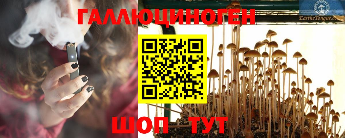 Галлюциногенные грибы Psilocybine cubensis  Вход с VPN  Галлюциногенные грибы прущие грибы  Кропоткин 